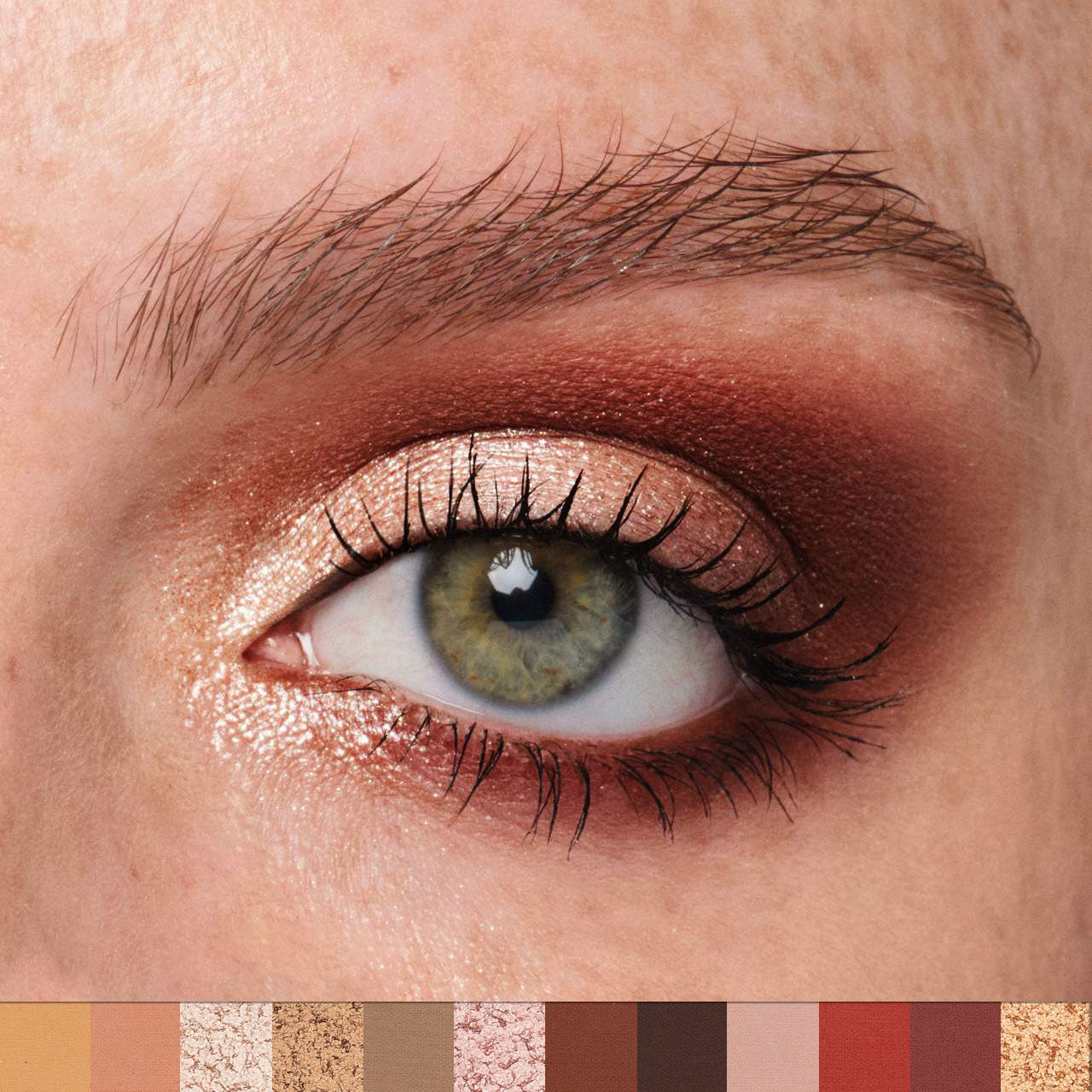 Palette de fards à paupières 12 couleurs PHOFAY
